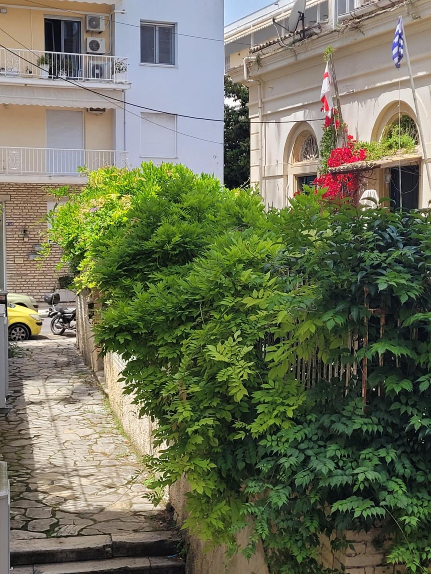 Antonietta Corfu Apartment Corfu  Exterior photo